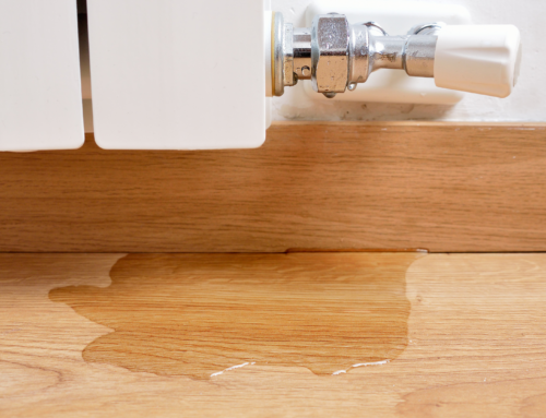 The Cost of Ignoring a Water Leak: Risks and Consequences